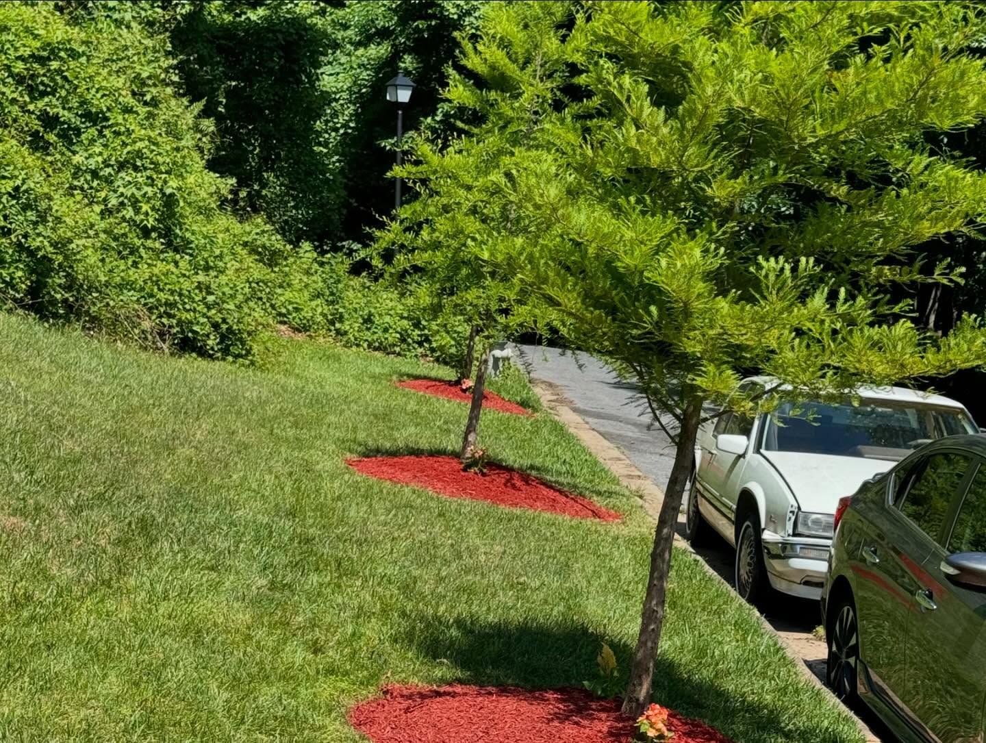 Landscaping & Maintenance